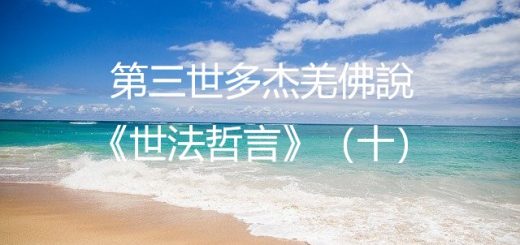 第三世多杰羌佛說《世法哲言》（十）