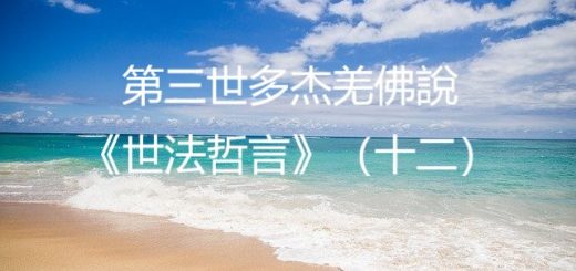 第三世多杰羌佛說《世法哲言》（十二）