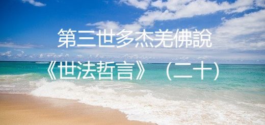 第三世多杰羌佛說《世法哲言》（二十）