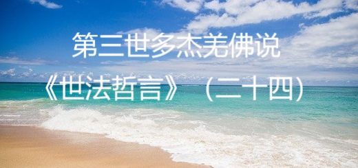 第三世多杰羌佛说《世法哲言》（二十四）