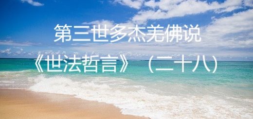 第三世多杰羌佛说《世法哲言》（二十八）