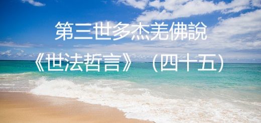 第三世多杰羌佛說《世法哲言》（四十五）