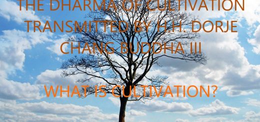 H.H.DORJE CHANG BUDDHA III